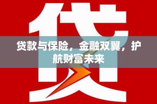 罗山贷款与保险，金融双翼，护航财富未来