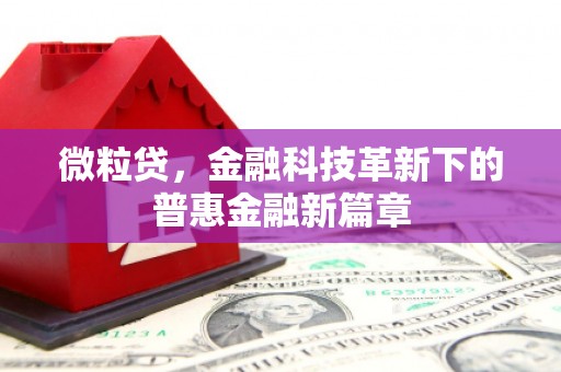 罗山微粒贷，金融科技革新下的普惠金融新篇章