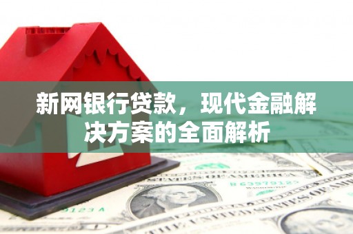 罗山新网银行贷款，现代金融解决方案的全面解析