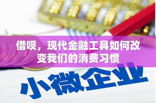 罗山借呗，现代金融工具如何改变我们的消费习惯