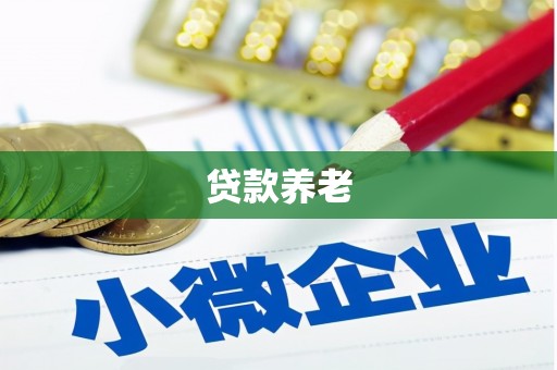 罗山贷款养老