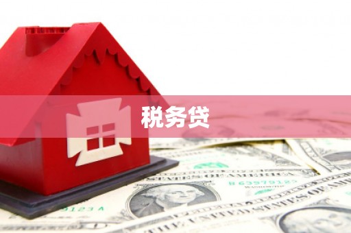罗山税务贷