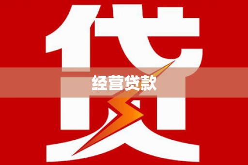 罗山经营贷款