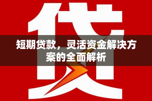罗山短期贷款，灵活资金解决方案的全面解析