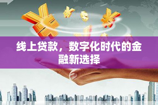 罗山线上贷款，数字化时代的金融新选择