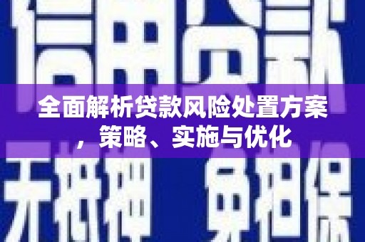 罗山全面解析贷款风险处置方案，策略、实施与优化