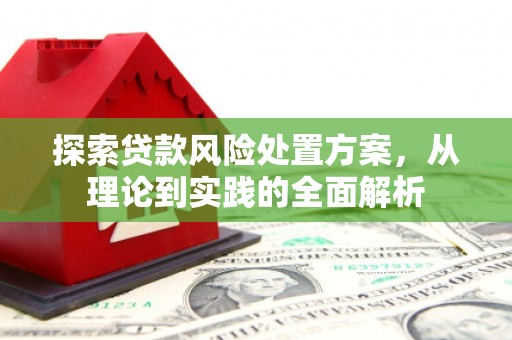 罗山探索贷款风险处置方案，从理论到实践的全面解析