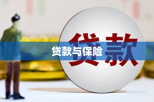 罗山贷款与保险