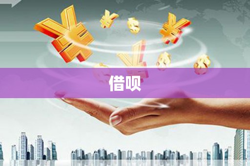 罗山借呗