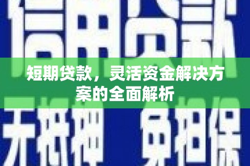 罗山短期贷款，灵活资金解决方案的全面解析