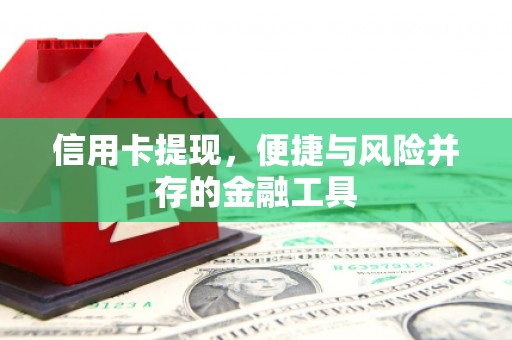 罗山信用卡提现，便捷与风险并存的金融工具