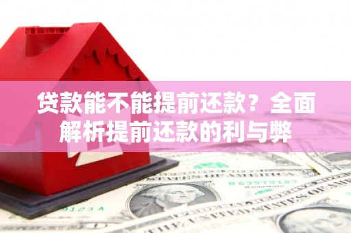 罗山贷款能不能提前还款？全面解析提前还款的利与弊