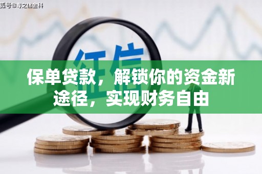 罗山保单贷款，解锁你的资金新途径，实现财务自由