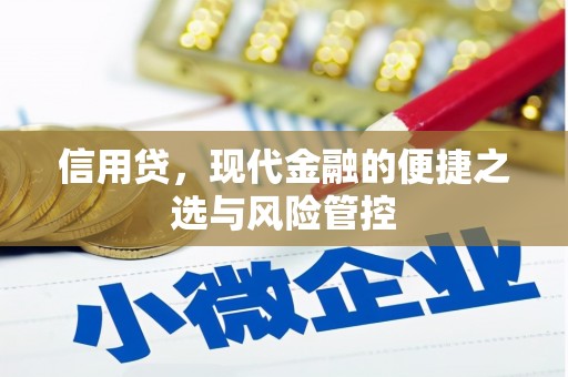罗山信用贷，现代金融的便捷之选与风险管控