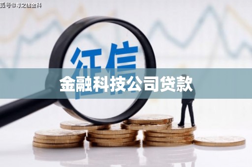 罗山金融科技公司贷款