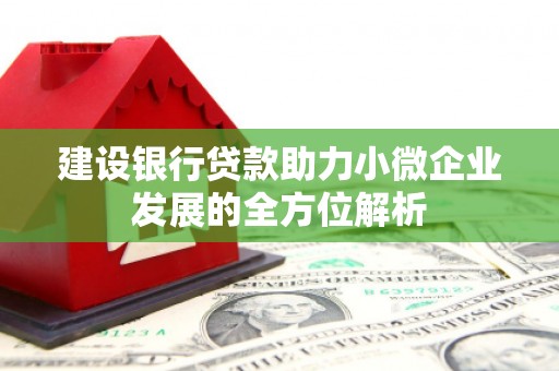 罗山建设银行贷款助力小微企业发展的全方位解析