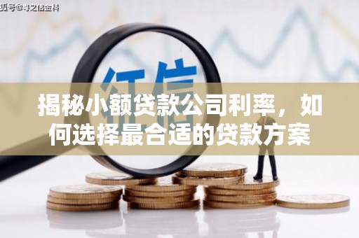罗山揭秘小额贷款公司利率，如何选择最合适的贷款方案