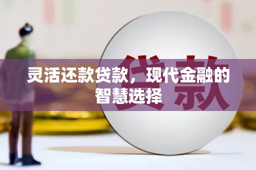 罗山灵活还款贷款，现代金融的智慧选择