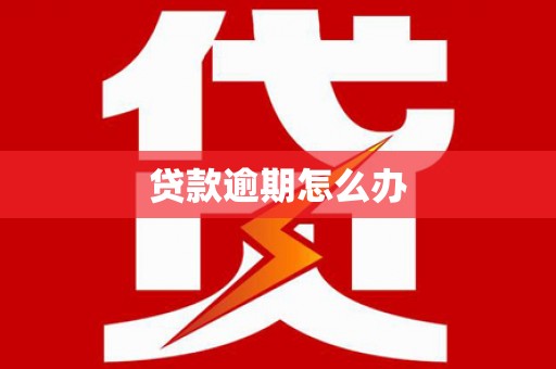罗山贷款逾期怎么办