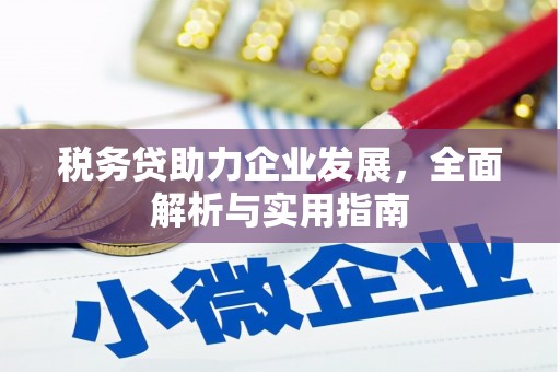 罗山税务贷助力企业发展，全面解析与实用指南