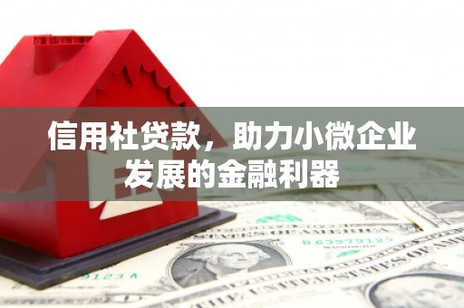 罗山信用社贷款，助力小微企业发展的金融利器
