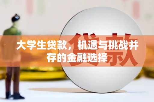 罗山大学生贷款，机遇与挑战并存的金融选择
