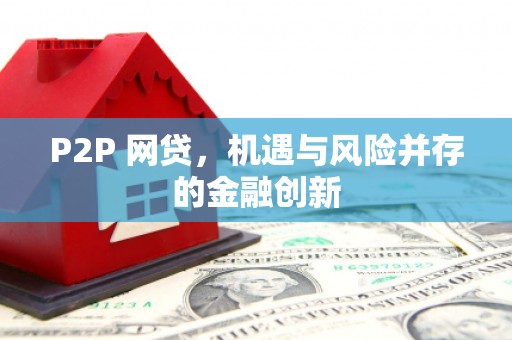 罗山P2P 网贷，机遇与风险并存的金融创新