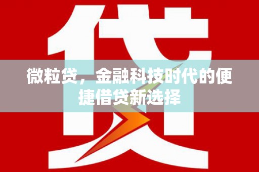 罗山微粒贷，金融科技时代的便捷借贷新选择