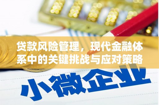 罗山贷款风险管理，现代金融体系中的关键挑战与应对策略