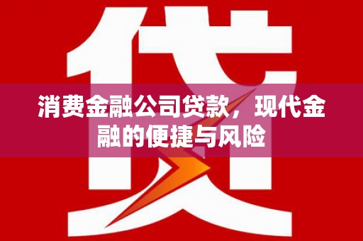 罗山消费金融公司贷款，现代金融的便捷与风险
