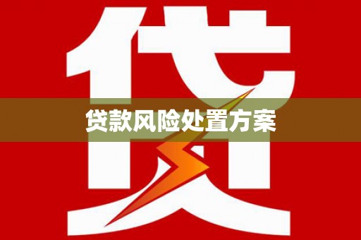 罗山贷款风险处置方案