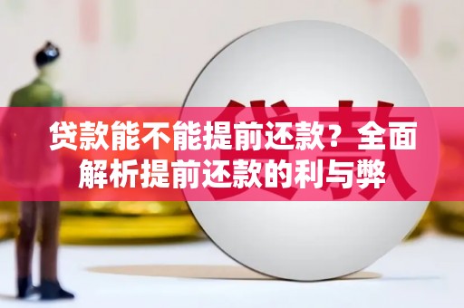 罗山贷款能不能提前还款？全面解析提前还款的利与弊