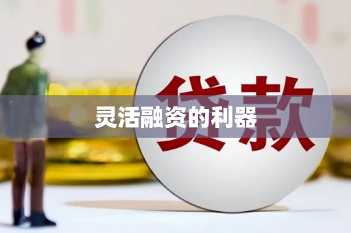 罗山灵活融资的利器