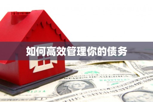 罗山如何高效管理你的债务