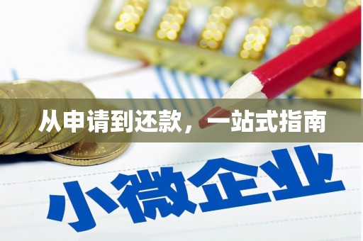 罗山从申请到还款，一站式指南