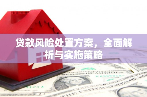 罗山贷款风险处置方案，全面解析与实施策略