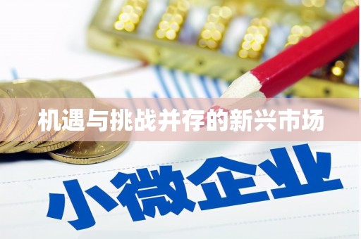 罗山机遇与挑战并存的新兴市场