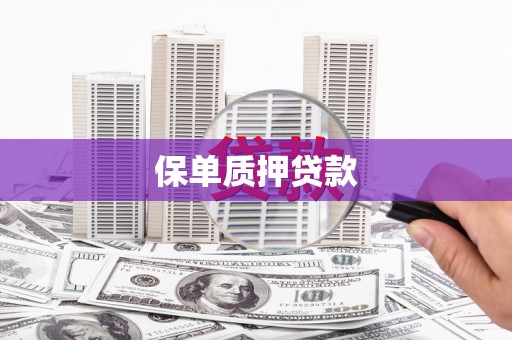 罗山保单质押贷款