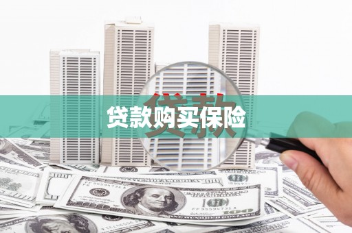 罗山贷款购买保险