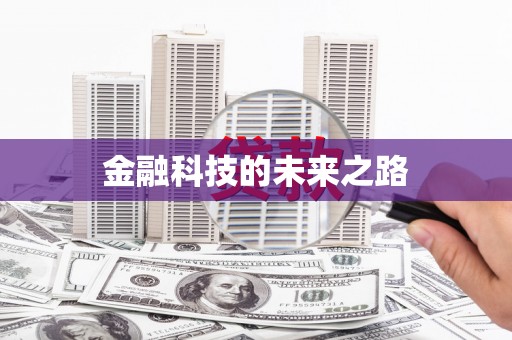 罗山金融科技的未来之路