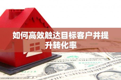 罗山如何高效触达目标客户并提升转化率