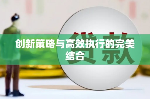 罗山创新策略与高效执行的完美结合
