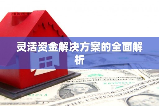 罗山灵活资金解决方案的全面解析