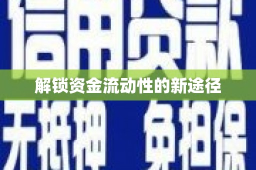 罗山解锁资金流动性的新途径