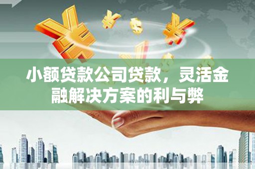 罗山小额贷款公司贷款，灵活金融解决方案的利与弊