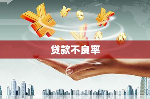 罗山贷款不良率
