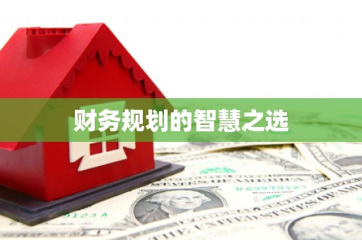 罗山财务规划的智慧之选