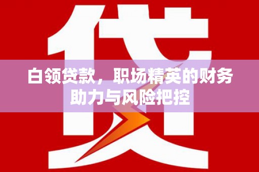 罗山白领贷款，职场精英的财务助力与风险把控